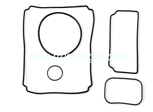 HNBR Gasket